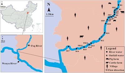 Synergistic Application of Molecular Markers and Community-Based Microbial Source Tracking Methods for Identification of Fecal Pollution in River Water During Dry and Wet Seasons